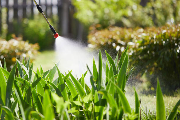 Tamper-Resistant Bait Stations for Rodents in Glen Alpine
