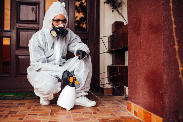 Attic and Crawl Space Rodent Treatment in Glen Alpine