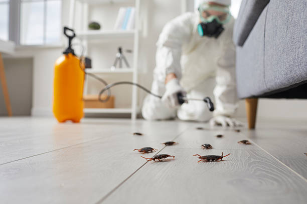 Commercial Rodent Management in Glen Alpine
